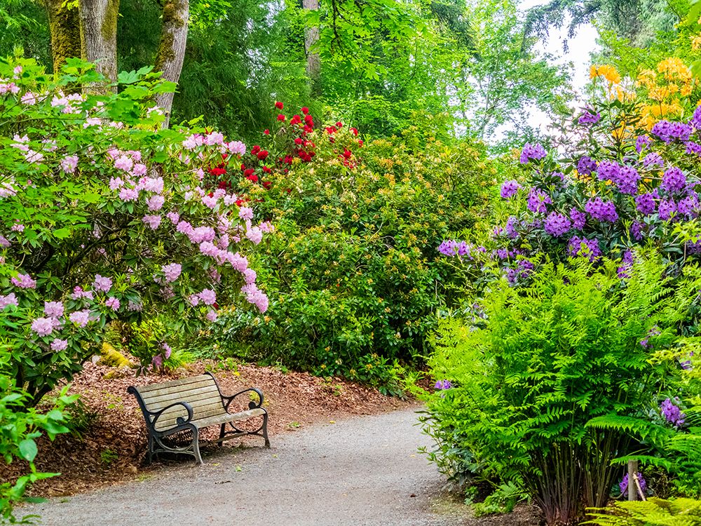 USA-Washington State-Pacific Northwest-Bellevue and the Bellevue Botanical Gardens